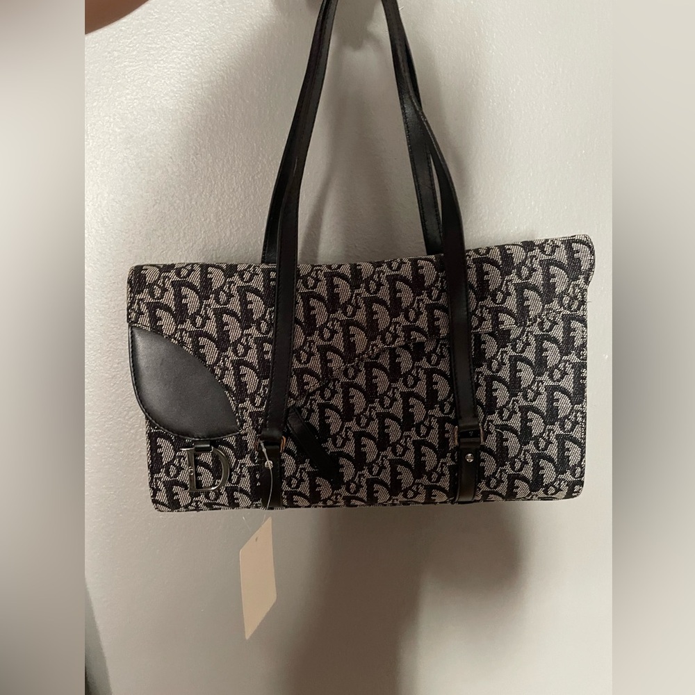 Dior Trotter Saddle monogram bag (rare)